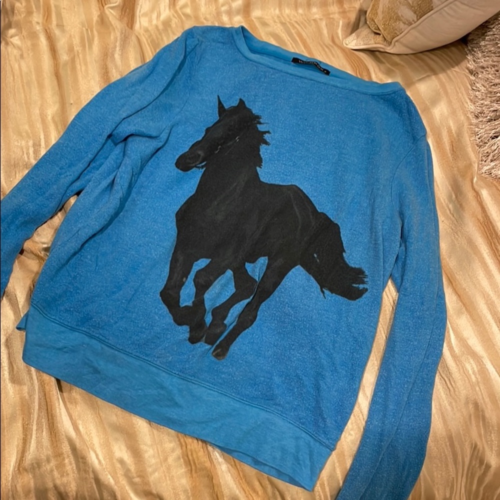 Wildfox sweater